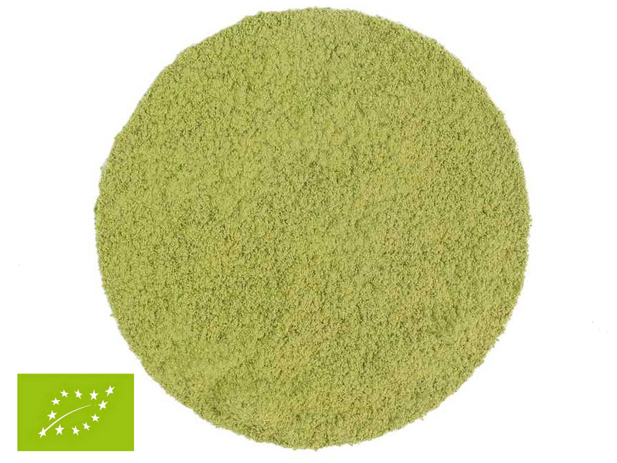 MATCHA BEGINNERS - BIO