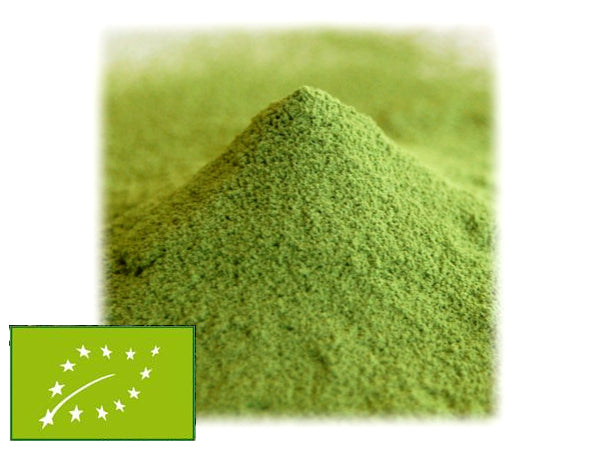 JAPAN MATCHA FOR LATTE - BIO